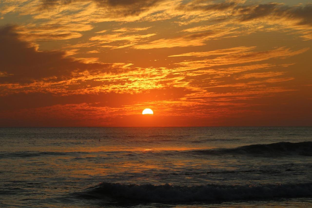 El Gato Rojas Surf Hostel Playa Santa Teresa  외부 사진