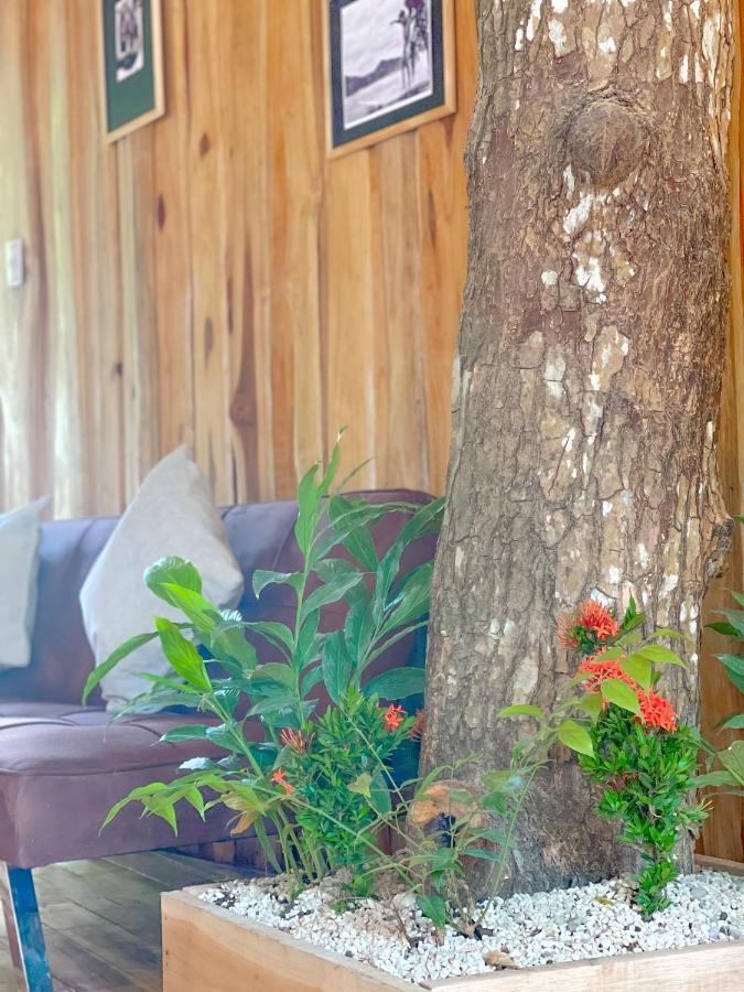 El Gato Rojas Surf Hostel Playa Santa Teresa  외부 사진