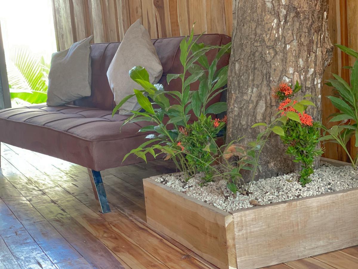 El Gato Rojas Surf Hostel Playa Santa Teresa  외부 사진